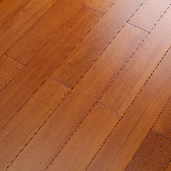 番龍眼D506.jpg 番龍眼D506.jpg