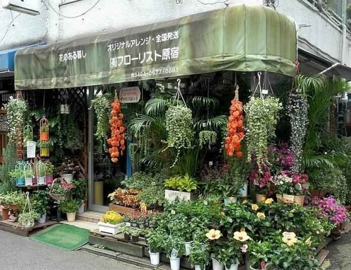 90后美女在閣樓開(kāi)店鋪！房間太破，奇思妙想用各種植物來(lái)掩蓋